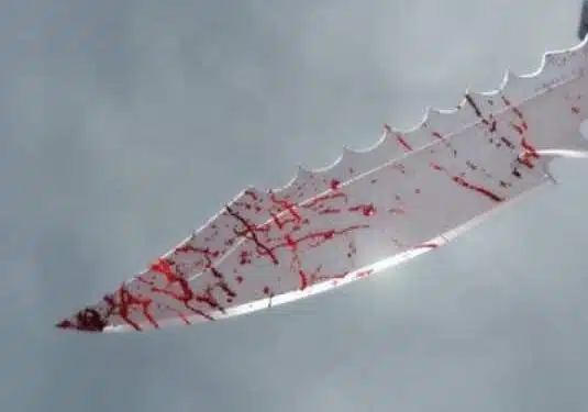 coltello-aspect-ratio-535-375