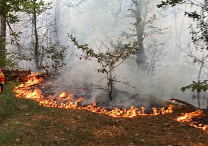 incendi5-aspect-ratio-535-375