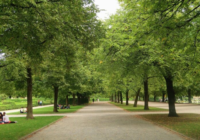 verde_citta-aspect-ratio-535-375