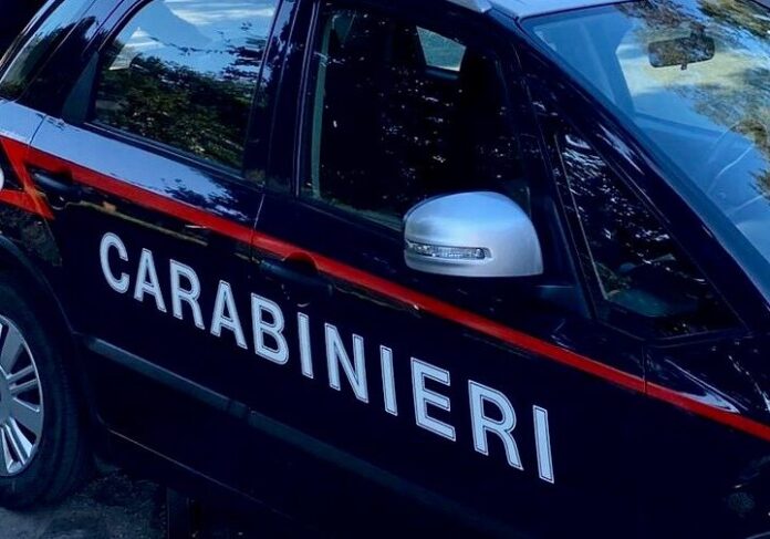 CARABINIERI-PAVIA-INPS-aspect-ratio-535-375
