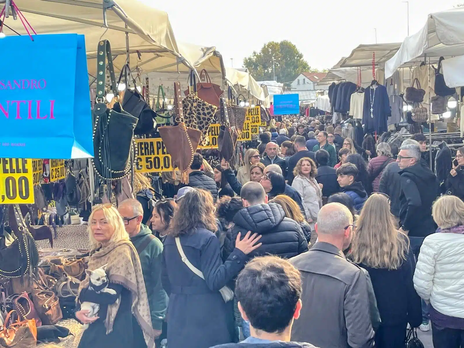 Monza pubblico