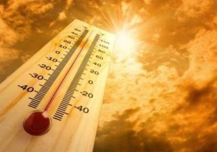 caldo-aspect-ratio-535-375