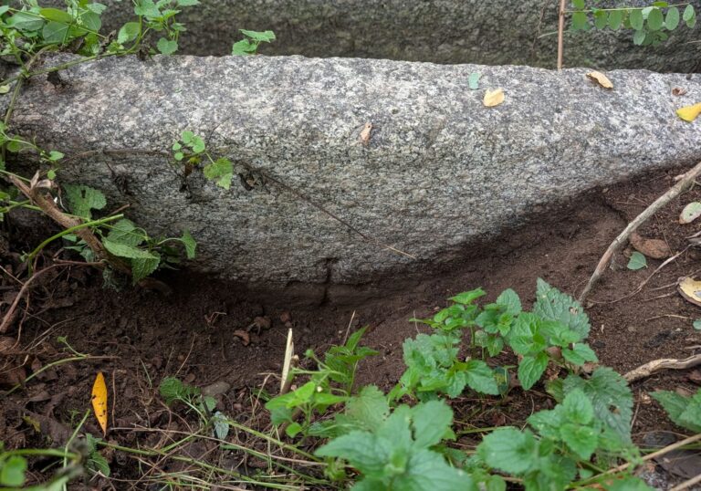 Castellazzo dè Barzi, superstrada: un patrimonio agricolo e storico a rischio