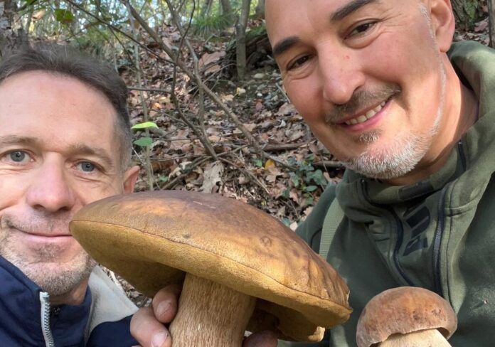 porcini-aspect-ratio-535-375